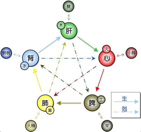 五行 花|七大类 常见植物的阴阳五行及其应用（全）